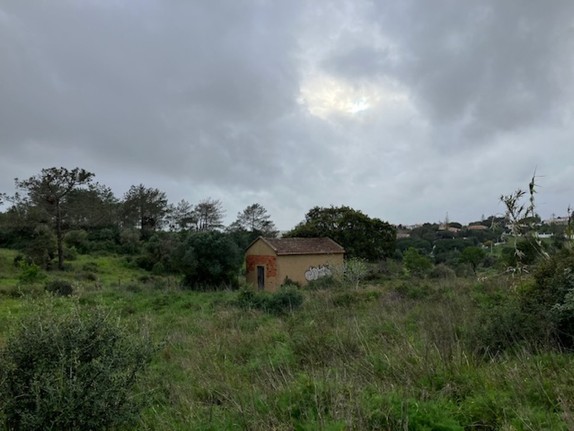 Kleine verlassene Hütte umgeben von Wiese und Büschen