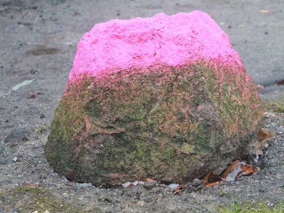 Stein, zum Teil in pinker Farbe
