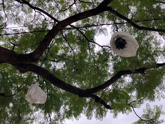 Plastikbeutel hängen im Baum